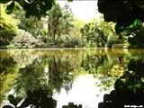 Jardín Botánico - SAN JUAN